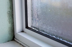 Condensation Control Wimborne Minster