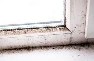 Condensation Damp Tewkesbury UK (01684)