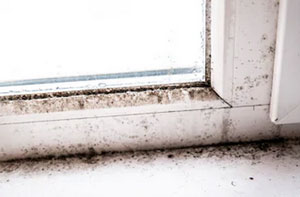 Condensation Damp Ringwood UK (01425)