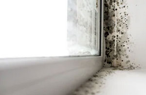 Damp Proofing Specialists Glenfield UK