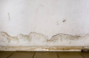 Rising Damp Cotgrave Nottinghamshire