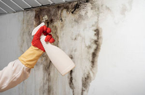 Black Mould Staines