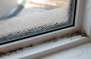 Condensation Damp Attleborough UK (01953)